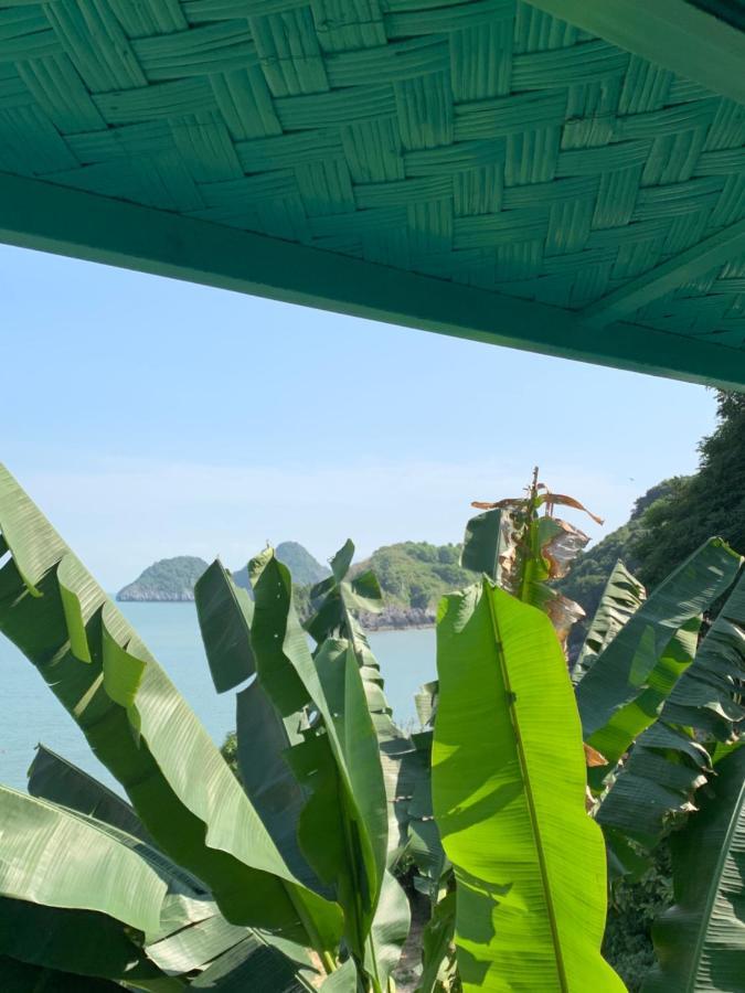 Ocean Beach Resort Cat Ba Island Eksteriør billede